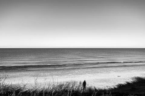 Empty beach wind with tree line and man shadow on the sand against the sky Stock Photos