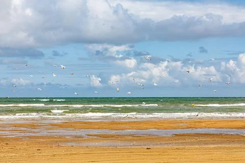 Empty beach without people on the beach Stock Photos