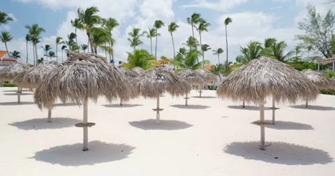 Empty beautiful beach white sand, palm trees and umbrellas. Stock Footage 249297988