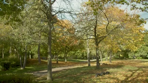 Empty Beautiful Park in Autumn/Spring  Video stock 132866423