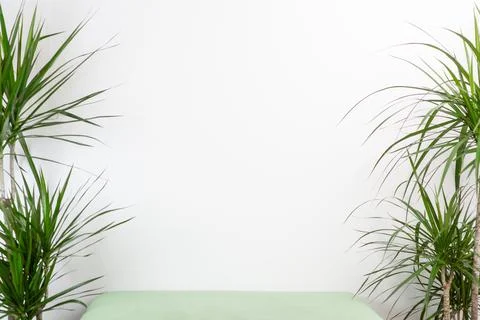 Empty bed with palm trees on either side against a white wall. Place for text Stock Photos