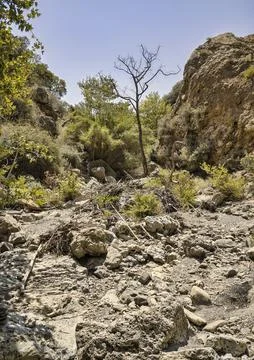 Empty bed of a river that flows through a topolia gorge on the crete Stock Photos