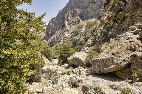 Empty bed of a river that flows through a topolia gorge on the crete Stock Photos