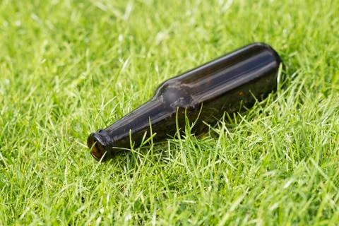 Empty beer bottle in the grass. Stock Photos