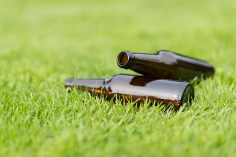 Empty beer bottles in the grass. Stock Photos