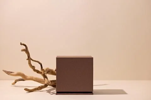 Empty beige mockup background with brown cube, dry branch and strong shadow.. Fotos Stock