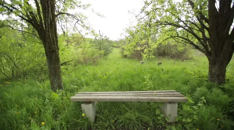 Empty Bench in an Abandoned Park 2 Stock Footage 50707041