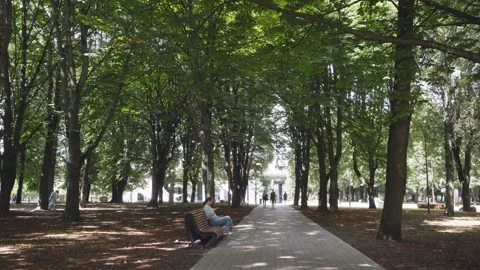 Empty bench along pathway in a green summer sunny park with trees and no people Stock Footage 205096077