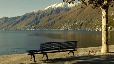 Empty Bench on Alpine Lake with Mountain View in Autumn in a Sunny Day Stock Footage 165325456