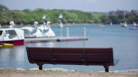 Empty bench and swan boat Stock Footage 75677958