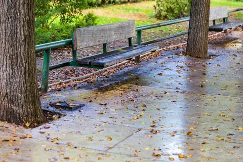 Empty bench in the autumn park Stock Photos