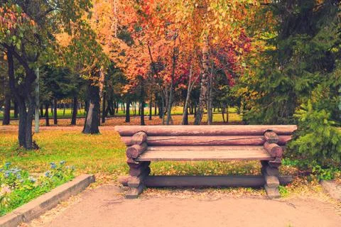 Empty bench in the autumnal park Stock Photos