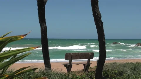 Empty bench on a beautiful Australian beach Stockbeeldmateriaal 196065576