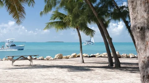 Empty bench on carribean background with vessels Stock Footage 121286339
