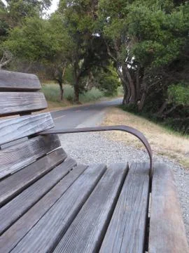 Empty bench close up by a trail in the park Foto stock