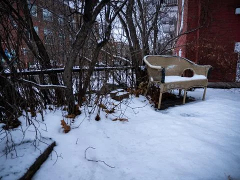 An empty bench covered in snow. Stock Photos