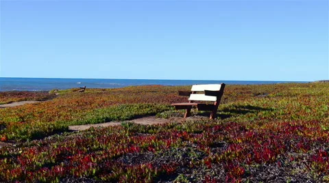 Empty bench facing the sea Stock Footage 64229117