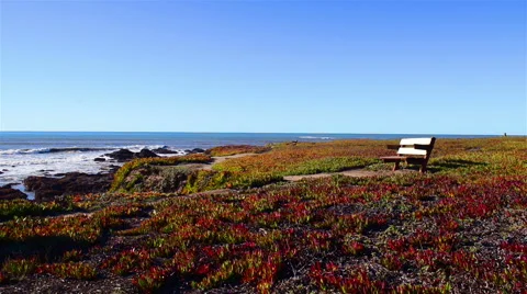 Empty bench facing the sea Stock Footage 64229129