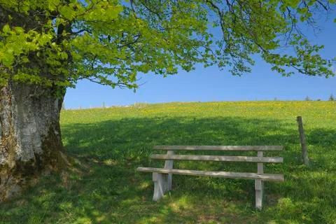 Empty Bench in Field, Black Forest, Baden Wuerttemberg, Germany Stock Photos