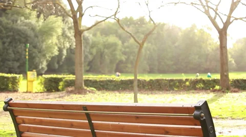 Empty bench Stock Footage 56637464