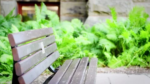 Empty bench Stock Footage 266374869