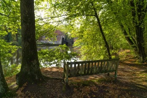 Empty bench in forest Stock Photos