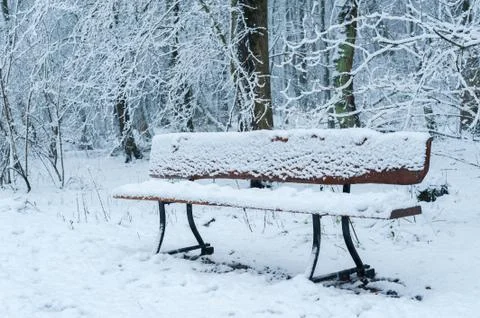 Empty bench in the forest under the snow in winter Stock-Fotos