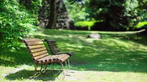 Empty bench in fresh green tree Stock Footage 75715680