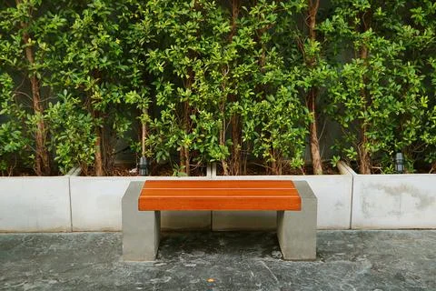 Empty bench in front of green hedge plants in a park Photos