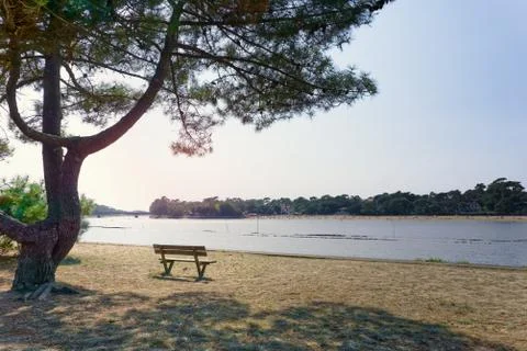 Empty bench in front of Hossegor lake with a tree in the foreground Stock Photos