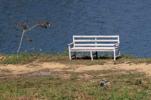 Empty bench in front of lake. Stock Photos