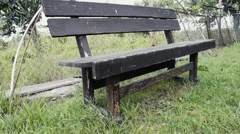 Empty bench in the garden Stock Footage 54310070