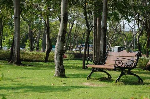 Empty bench in the garden Stock Photos