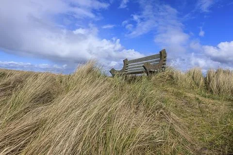 Empty bench on a grassy hill. Stock Photos