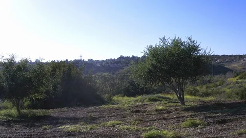 Empty Bench On Hiking Trail 動画素材 128990078