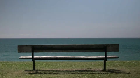 Empty bench on lake. Stock Footage 57310469