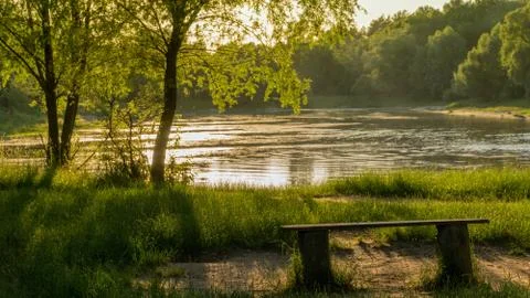 Empty bench by the lake in the rays of the setting sun Stock Photos