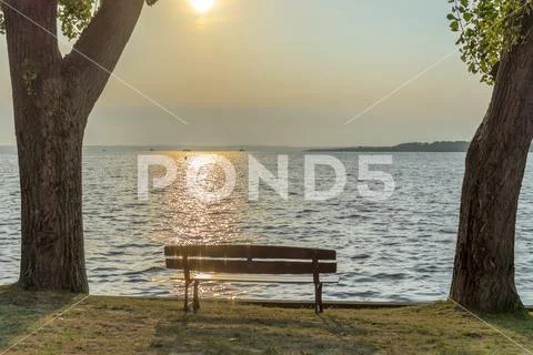 Empty bench on the lake shore between two trees Stock Photos