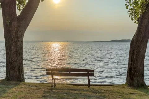 Empty bench on the lake shore between two trees Stock Photos