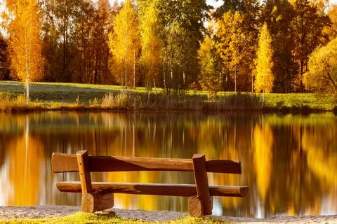 Empty bench with lake view and autumn trees Stock Photos