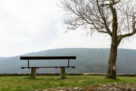 Empty bench by a lonely tree in spring. 写真素材