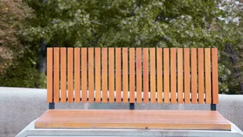 Empty bench made of concrete and wood in park outdoors on background of trees Stock Footage 134778244