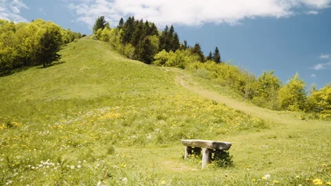 Empty bench in the middle of the hiking trail, static wide angle. Stock Footage 132254256