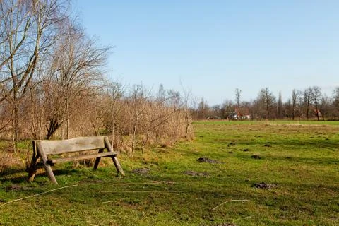 Empty bench in nature Stock Photos