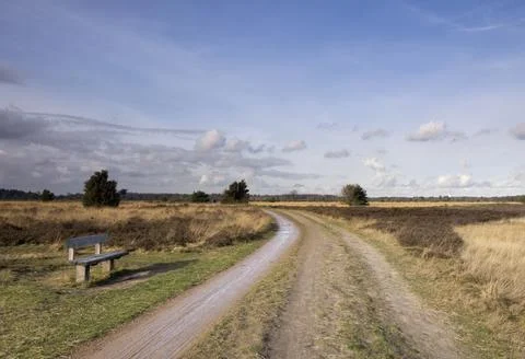 Empty bench near Someren Stock Photos