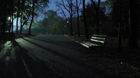 An empty bench in a night Park Stock Photos