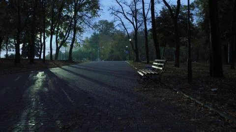 An empty bench in a night Park Stock Photos