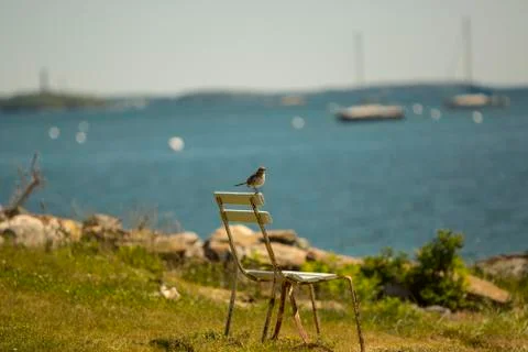 Empty bench by the ocean Stock Photos