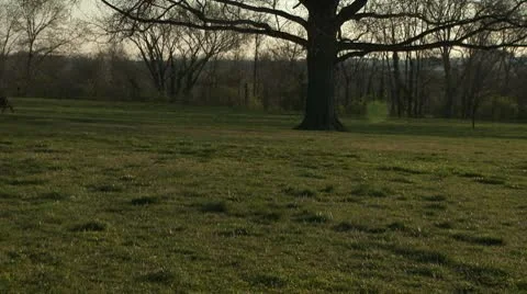 Empty Bench Pan Sunrise DC Monuments Video stock 10605064