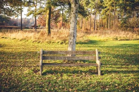 Empty bench in a park in the fall Stock Photos